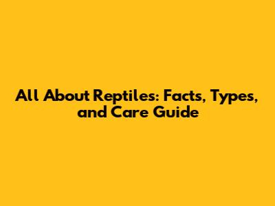 All About Reptiles: Facts, Types, and Care Guide