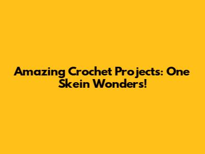 Amazing Crochet Projects: One Skein Wonders!