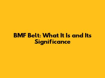 BMF Belt: What It Is and Its Significance