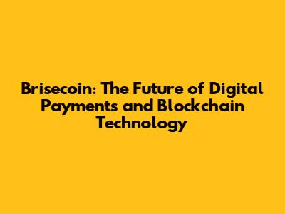 Brisecoin: The Future of Digital Payments and Blockchain Technology
