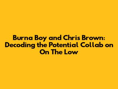 Burna Boy and Chris Brown: Decoding the Potential Collab on 'On The Low'
