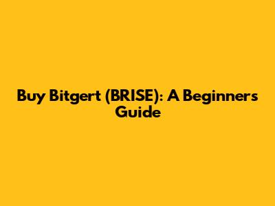 Buy Bitgert (BRISE): A Beginner's Guide