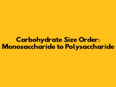 Carbohydrate Size Order: Monosaccharide to Polysaccharide