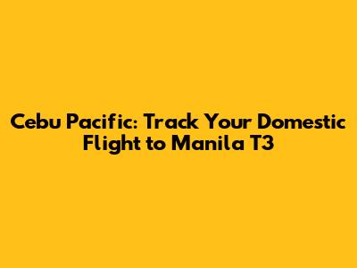 Cebu Pacific: Track Your Domestic Flight to Manila T3