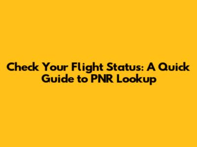Check Your Flight Status: A Quick Guide to PNR Lookup
