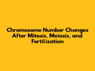 Chromosome Number Changes After Mitosis, Meiosis, and Fertilization