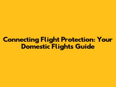 Connecting Flight Protection: Your Domestic Flights Guide