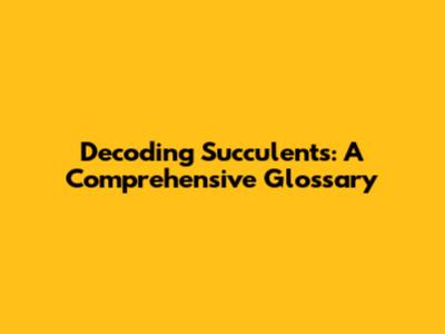 Decoding Succulents: A Comprehensive Glossary