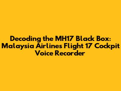 Decoding the MH17 Black Box: Malaysia Airlines Flight 17 Cockpit Voice Recorder