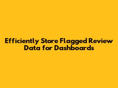 Efficiently Store Flagged Review Data for Dashboards