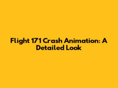 Flight 171 Crash Animation: A Detailed Look