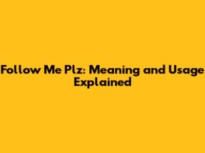 Follow Me Plz: Meaning and Usage Explained