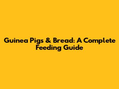 Guinea Pigs & Bread: A Complete Feeding Guide