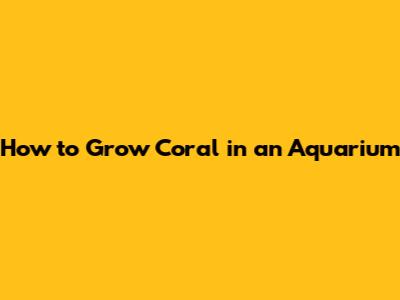 How to Grow Coral in an Aquarium