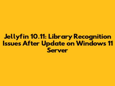 Jellyfin 10.11: Library Recognition Issues After Update on Windows 11 Server