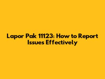 Lapor Pak 11123: How to Report Issues Effectively
