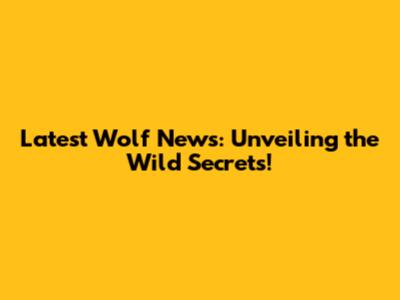 Latest Wolf News: Unveiling the Wild Secrets!