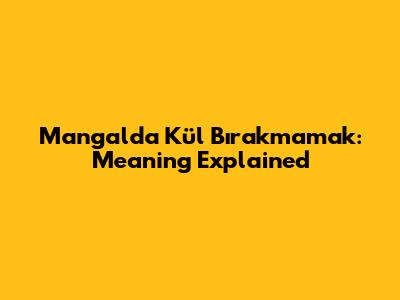 Mangalda Kül Bırakmamak: Meaning Explained