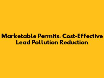 Marketable Permits: Cost-Effective Lead Pollution Reduction