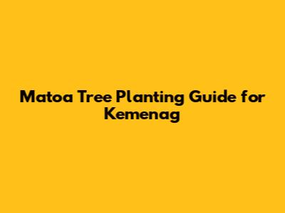 Matoa Tree Planting Guide for Kemenag