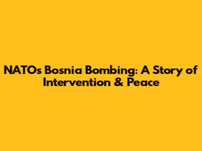 NATO's Bosnia Bombing: A Story of Intervention & Peace