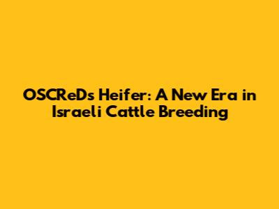 OSCReD's Heifer: A New Era in Israeli Cattle Breeding
