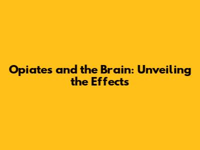 Opiates and the Brain: Unveiling the Effects