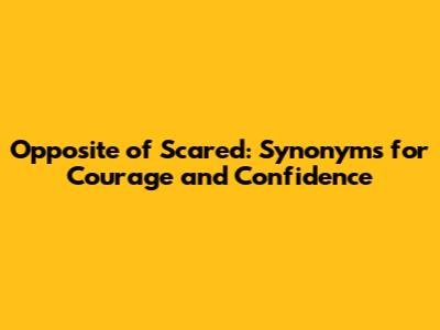Opposite of Scared: Synonyms for Courage and Confidence