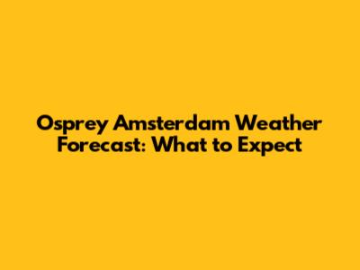 Osprey Amsterdam Weather Forecast: What to Expect