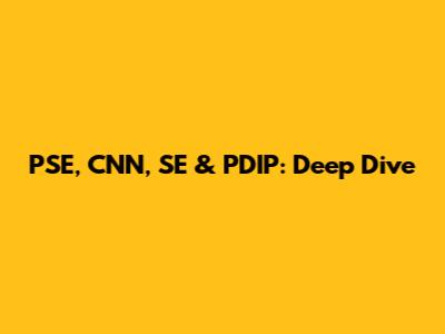 PSE, CNN, SE & PDIP: Deep Dive
