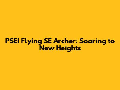 PSEI Flying SE Archer: Soaring to New Heights
