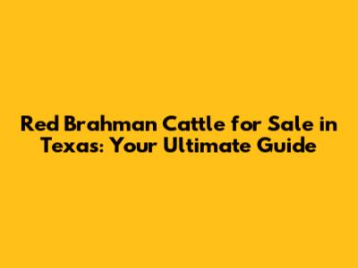 Red Brahman Cattle for Sale in Texas: Your Ultimate Guide