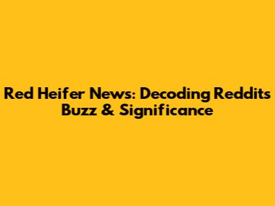 Red Heifer News: Decoding Reddit's Buzz & Significance