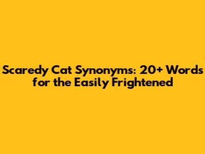 Scaredy Cat Synonyms: 20+ Words for the Easily Frightened
