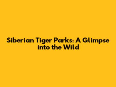 Siberian Tiger Parks: A Glimpse into the Wild