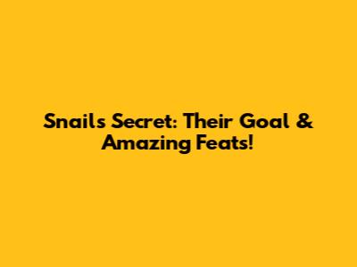 Snails' Secret: Their Goal & Amazing Feats!