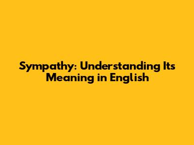 Sympathy: Understanding Its Meaning in English