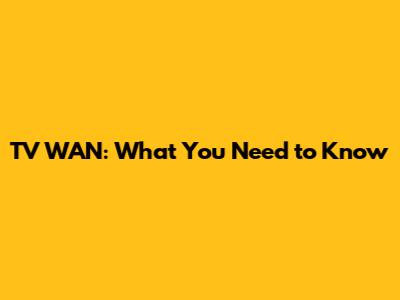 TV WAN: What You Need to Know