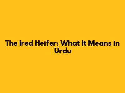 The Ired Heifer: What It Means in Urdu