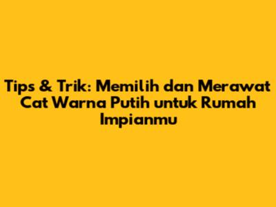 Tips & Trik: Memilih dan Merawat Cat Warna Putih untuk Rumah Impianmu