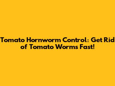 Tomato Hornworm Control: Get Rid of Tomato Worms Fast!