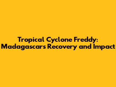 Tropical Cyclone Freddy: Madagascar's Recovery and Impact