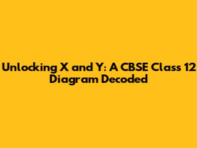 Unlocking X and Y: A CBSE Class 12 Diagram Decoded