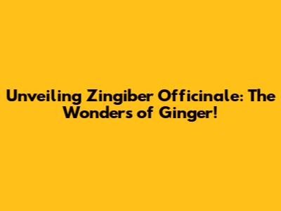 Unveiling Zingiber Officinale: The Wonders of Ginger!