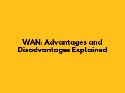 WAN: Advantages and Disadvantages Explained