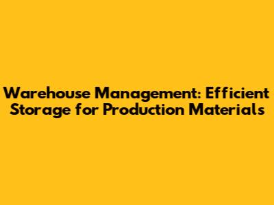 Warehouse Management: Efficient Storage for Production Materials