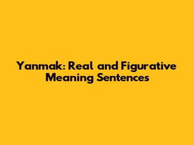 Yanmak: Real and Figurative Meaning Sentences