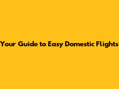 Your Guide to Easy Domestic Flights